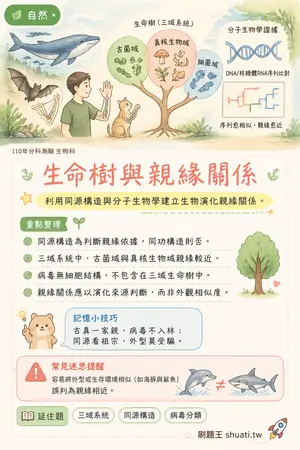 AI 記憶小卡