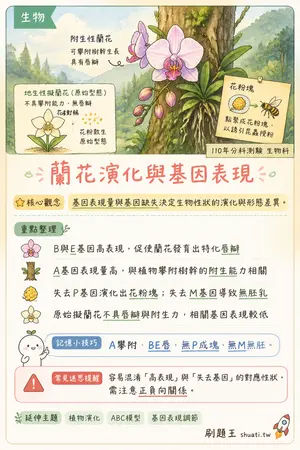 AI 記憶小卡