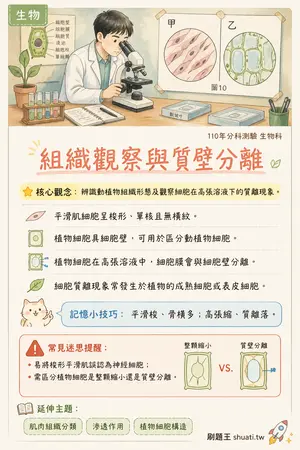 AI 記憶小卡