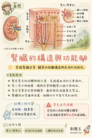 AI 記憶小卡