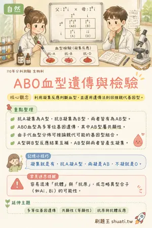 AI 記憶小卡