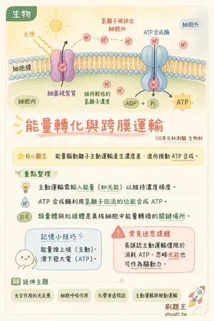 AI 記憶小卡