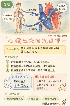AI 記憶小卡