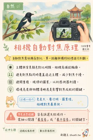 AI 記憶小卡