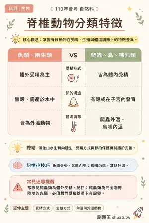 AI 記憶小卡
