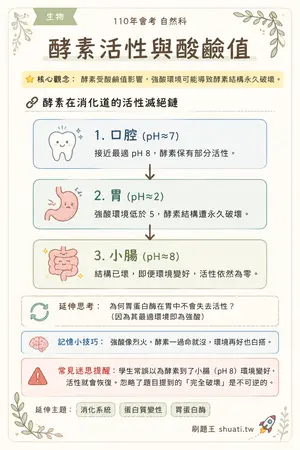 AI 記憶小卡