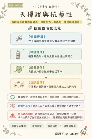 AI 記憶小卡