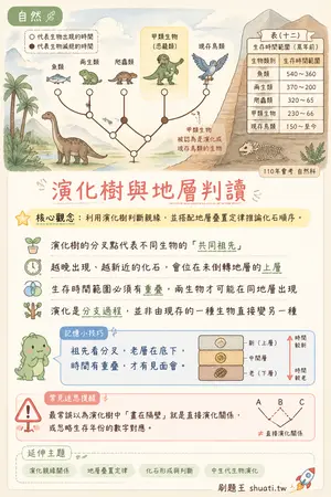 AI 記憶小卡