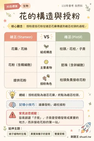 AI 記憶小卡