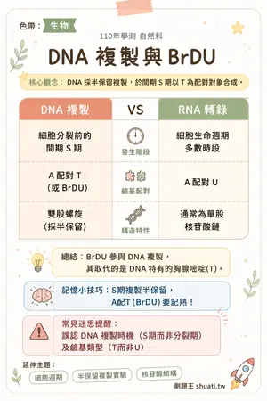 AI 記憶小卡