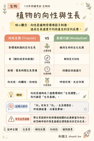 AI 記憶小卡