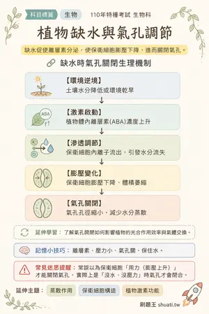 AI 記憶小卡