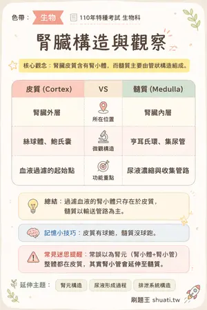 AI 記憶小卡