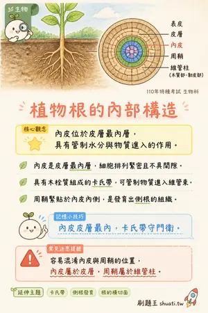 AI 記憶小卡