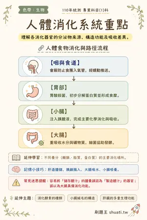 AI 記憶小卡