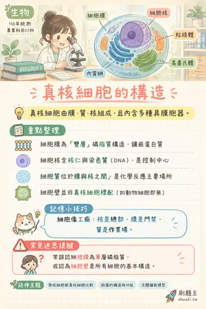AI 記憶小卡