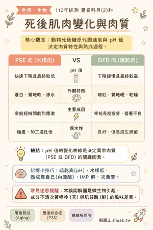 AI 記憶小卡