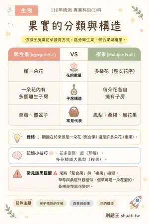 AI 記憶小卡