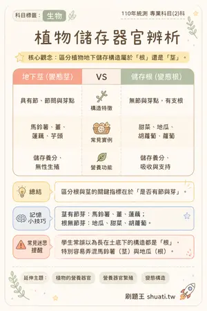 AI 記憶小卡