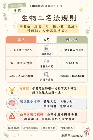 AI 記憶小卡