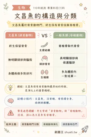 AI 記憶小卡
