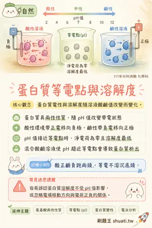 AI 記憶小卡