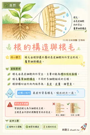 AI 記憶小卡
