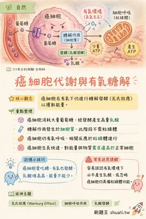 AI 記憶小卡