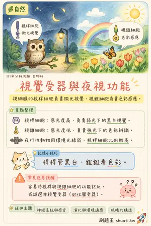 AI 記憶小卡
