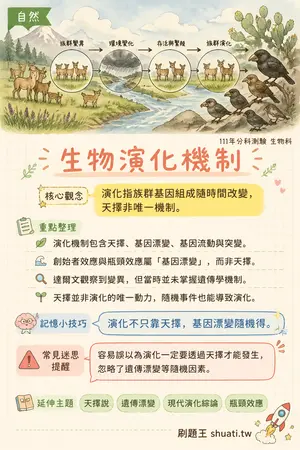 AI 記憶小卡