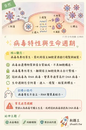 AI 記憶小卡
