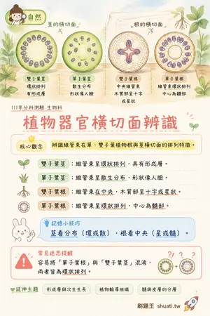 AI 記憶小卡