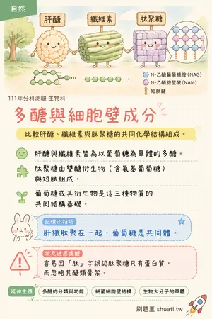 AI 記憶小卡