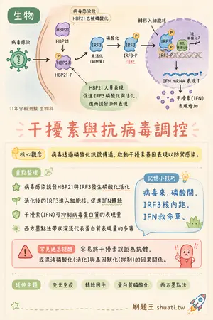 AI 記憶小卡
