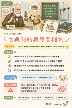 AI 記憶小卡