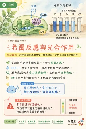 AI 記憶小卡