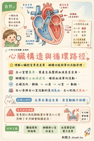 AI 記憶小卡