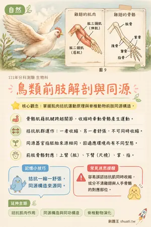 AI 記憶小卡