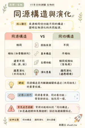 AI 記憶小卡
