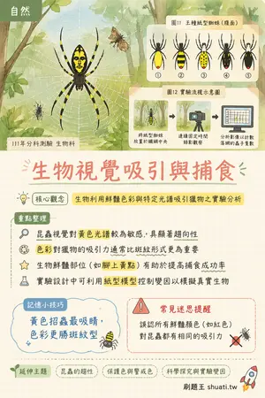 AI 記憶小卡