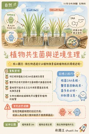 AI 記憶小卡