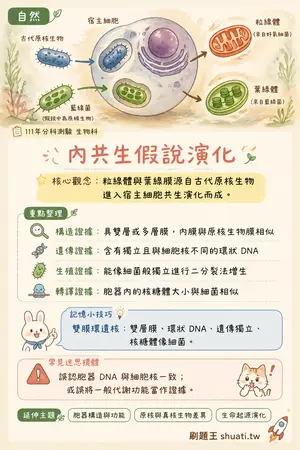 AI 記憶小卡