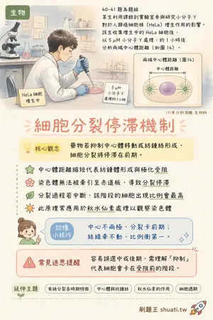 AI 記憶小卡
