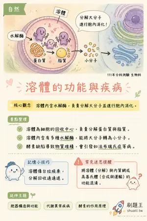 AI 記憶小卡