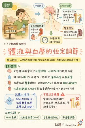 AI 記憶小卡