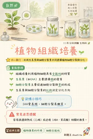 AI 記憶小卡