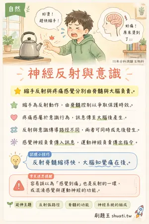 AI 記憶小卡