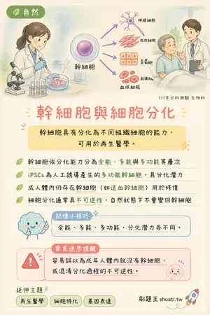 AI 記憶小卡