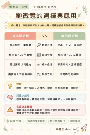 AI 記憶小卡
