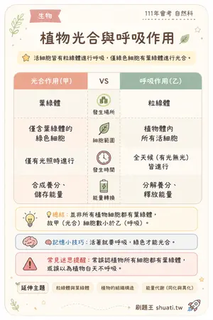 AI 記憶小卡